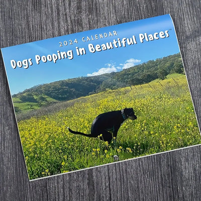 Unleashing the Canine Chronicles: A Scientific Exploration of Dog Pooping Behavior and the 2024 Pooping Dog Wall Calendar